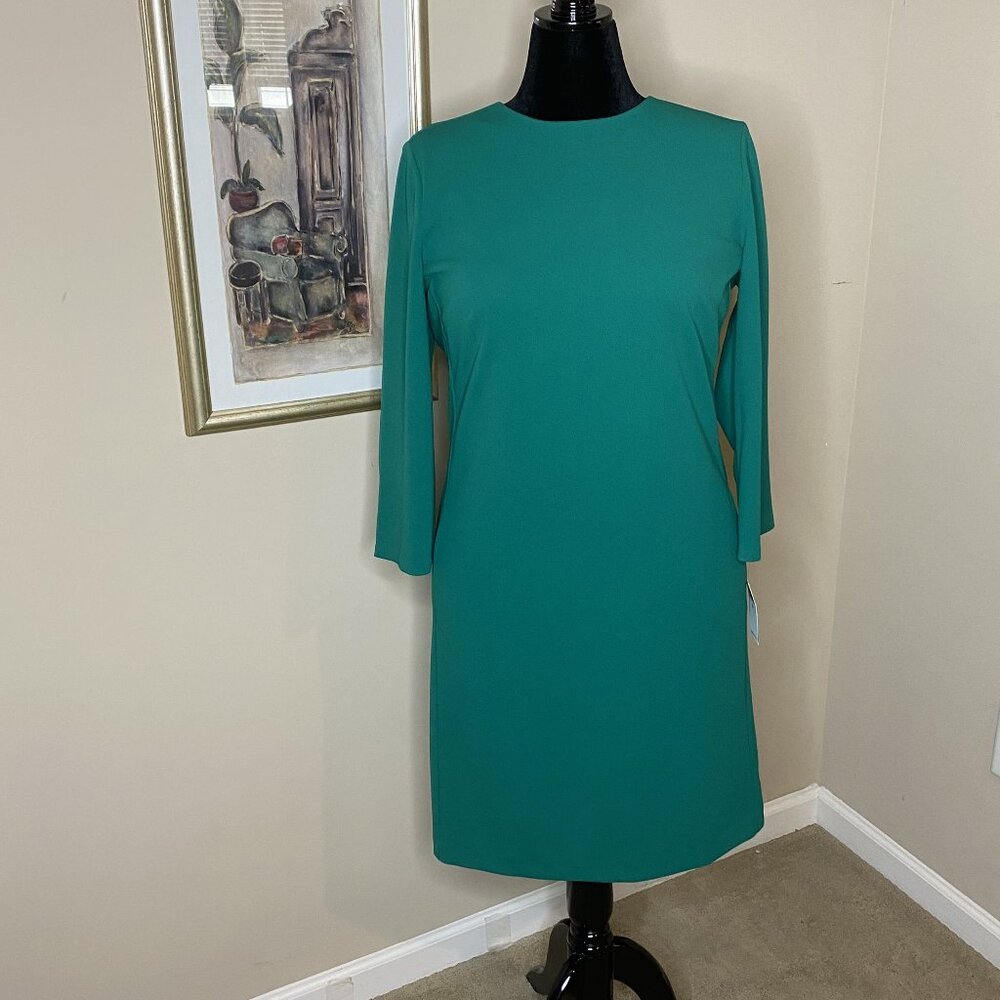 Stunning Ralph Lauren Green Dress with Pockets